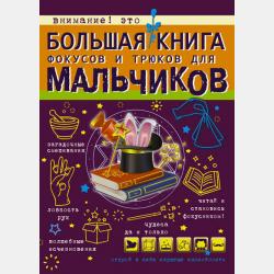 Копилка тайн для маленьких принцесс - В. А. Ригарович - скачать бесплатно