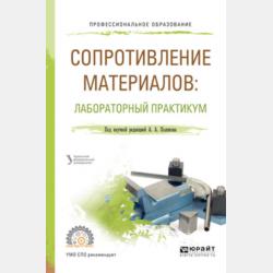 Кругосветный велосипед и другие летние истории Кашеньки и Пеночки - Андрей Сорокин - скачать бесплатно