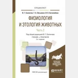 Автоматика. Учебник и практикум для СПО - Дмитрий Александрович Семенов - скачать бесплатно