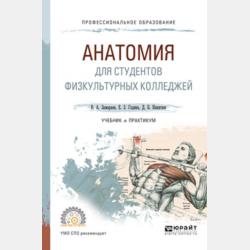 Белые облачка. Сказка - Евгений Алексеевич Долгополов - скачать бесплатно
