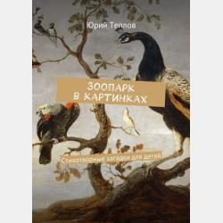 Загадки про медведя для детей - скачать бесплатно