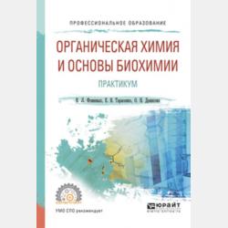 Как Маша и Даша вежливости учились - Александра Викторовна Корабельникова - скачать бесплатно