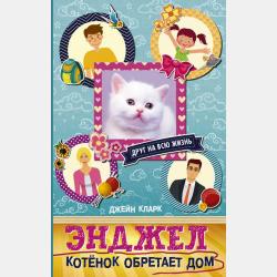 Сказка про Яшу - Анастасия Невская - скачать бесплатно