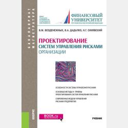 Теория и практика управления рисками организации - Вячеслав Безденежных - скачать бесплатно