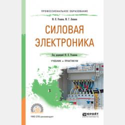 Драматургия и режиссура зрелищных форм. Соучастие в зрелище, или Игра в миф - И. Б. Шубина - скачать бесплатно