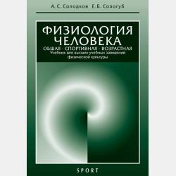Этика. Учебное пособие - Татьяна Анатольевна Горелова - скачать бесплатно