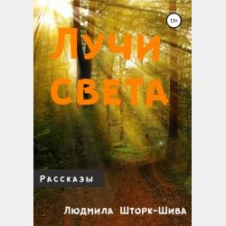 История философии в 2 т. Том 2 2-е изд., пер. и доп. Учебник для бакалавриата и магистратуры - Б. В. Марков - скачать бесплатно
