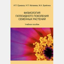 Елена Премудрая. Русские сказки - Группа авторов - скачать бесплатно