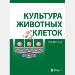 Финансовый менеджмент в EXCEL + еПриложение: дополнительные материалы - Коллектив авторов - скачать бесплатно