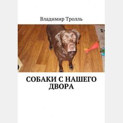 Известная и неизвестная. Рассказы для детей о Крымской войне 1853–1856 гг. - В. К. Дмитриев - скачать бесплатно