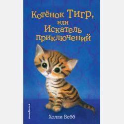 Русская философия XIX века в 2 ч. Часть 2 2-е изд., испр. и доп. Учебник для академического бакалавриата - Борис Владимирович Емельянов - скачать бесплатно