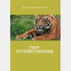 Сборник упражнений для освоения программ Ms Office - Валерий Федорович Альмухаметов - скачать бесплатно