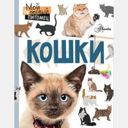 Начертательная геометрия - М. Кирягина - скачать бесплатно