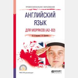 Международный маркетинг. Практика. Учебник для бакалавриата и магистратуры - Джамиля Фатыховна Скрипнюк - скачать бесплатно