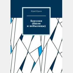 Отель «Странник» - Шон Исли - скачать бесплатно