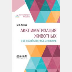 Наследственное право 5-е изд., пер. и доп. Учебник и практикум для вузов - Инна Леонидовна Корнеева - скачать бесплатно