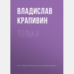 Тишина на задней парте! - Анна Зимова - скачать бесплатно