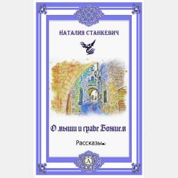 Конечные автоматы и формальные языки - А. М. Пеленицын - скачать бесплатно