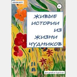 Администрирование отеля. Учебник и практикум для вузов - Полина Григорьевна Николенко - скачать бесплатно