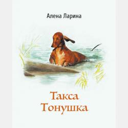 Время делать чудеса. Драконостихи - Елена Теедемаа - скачать бесплатно