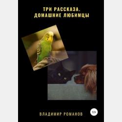 Тысяча и один тренд. Сказки о трейдинге - Владимир Алексеевич Романов - скачать бесплатно