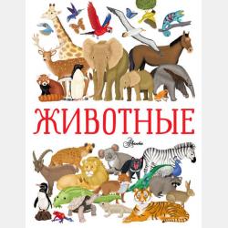 Учим и пишем цифры - Ольга Александрова - скачать бесплатно