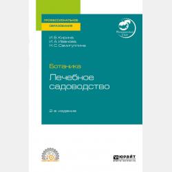 Менеджмент. Учебник и практикум для СПО - Ирина Анатольевна Иванова - скачать бесплатно