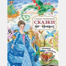 Бюджетная система Российской Федерации 2-е изд., пер. и доп. Учебник и практикум для академического бакалавриата - Елена Владимировна Писклюкова - скачать бесплатно