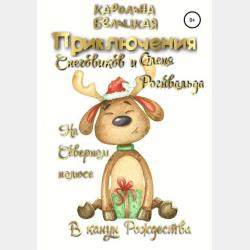 Тинь и Дилинь в стране Волшебных Сновидений - Каролина Белицкая - скачать бесплатно