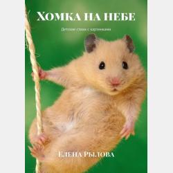 Психология управления 2-е изд., испр. и доп. Учебное пособие для бакалавриата и специалитета - Галина Рафаиловна Чернова - скачать бесплатно