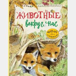 Теоретическая грамматика английского языка (Theoretical Grammar of the English language) - М. Науменко - скачать бесплатно