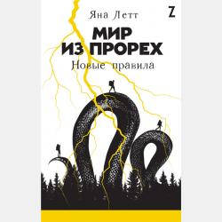Мир из прорех. Другой город - Яна Летт - скачать бесплатно