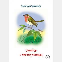 Загадки про лису - скачать бесплатно