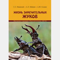 Возвратные глаголы в русской речи. Теория и практика - О. В. Чагина - скачать бесплатно