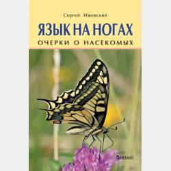 Не будите спящего дракона - Александр Михайлович Садкеев - скачать бесплатно