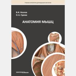 Правовое обеспечение профессиональной деятельности - В. А. Зуева - скачать бесплатно