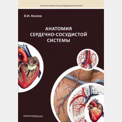 Анатомия нервной системы и органов чувств - В. И. Козлов - скачать бесплатно