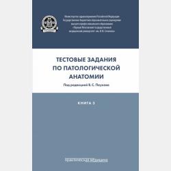Практикум по пчеловодству - Р. Б. Козин - скачать бесплатно