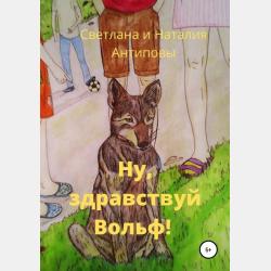 Преступность несовершеннолетних 2-е изд. Учебное пособие для бакалавриата, специалитета и магистратуры - С. Н. Чурилов - скачать бесплатно