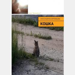 Котейкина самоизоляция - Александрина Верховцова - скачать бесплатно
