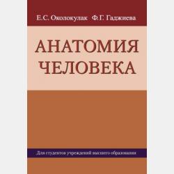 ОГЭ-2021. Литература - Е. А. Самойлова - скачать бесплатно