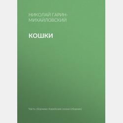 Формирование психомоторных способностей. Учебное пособие для бакалавриата и магистратуры - Илья Мордухович Туревский - скачать бесплатно