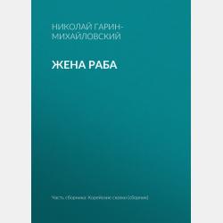 Детский университет. Исследователи объясняют загадки мира. Книга первая - Улла Штойернагель - скачать бесплатно