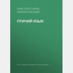Волшебница Ашам - Николай Гарин-Михайловский - скачать бесплатно