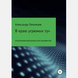Психодиагностика персонала 2-е изд. Учебное пособие для академического бакалавриата - Инна Витальевна Васильева - скачать бесплатно