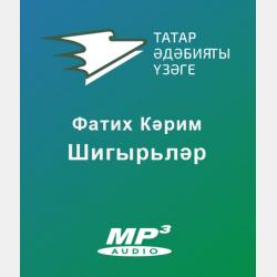 Стихии. Другие измерения - Sofi Magic - скачать бесплатно