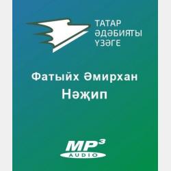 Банковское регулирование и надзор - Е. А. Остапенко - скачать бесплатно