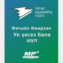Аудиокнига Нәжип (Әмирхан Фатих) - скачать бесплатно