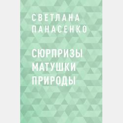 Фонарь, который всегда светил - Надежда Тонконюх - скачать бесплатно