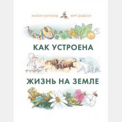  - скачать бесплатно